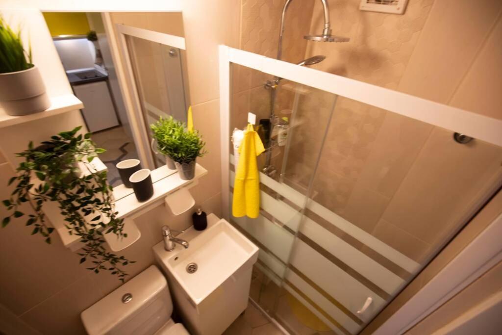 Apartment Victoria Avenue Bucharest